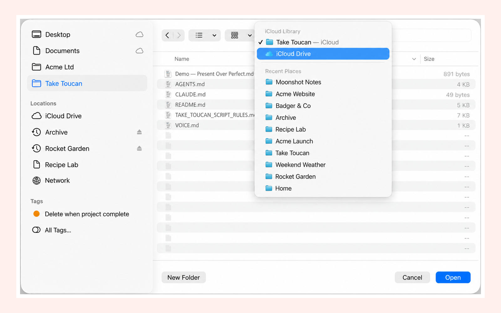 A Mac folder picker with Take Toucan selected under iCloud Drive and the Open button visible.